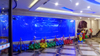 Ano ang pinakamagandang acrylic para bumuo ng seaclear acrylic aquarium - Leyu Acrylic Sheet Products Factory