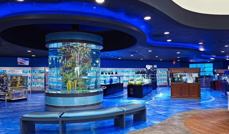 Ano ang pinakamagandang acrylic para bumuo ng seaclear acrylic aquarium - Leyu Acrylic Sheet Products Factory