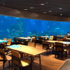 Aquarium Cafe shop ima akrilne prozore akrilne akvarijske tunele i akrilne rezervoare za ribice - Leyu
