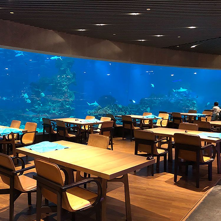 Aquarium Cafe shop ima akrilne prozore akrilne akvarijske tunele i akrilne rezervoare za ribice - Leyu