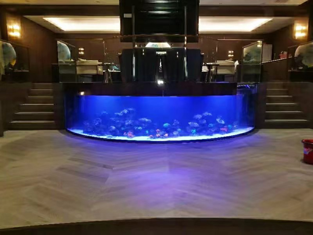 ምርጥ የባህር ዳርቻ acrylic aquarium aquariums ይፈልጉ - Leyu