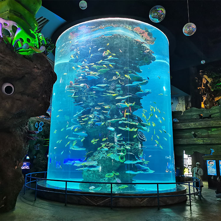 מיכל דגים צילינדר אקרילי בהתאמה אישית עטוף בפאנלים רב שכבתיים-leyu