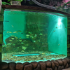 Ang pabrika ng China ay dalubhasa sa mga custom na acrylic window para sa oceanarium .- leyu 