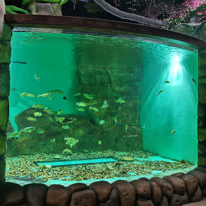 پانل اکریلیک منحنی اکریلیک بزرگ با کیفیت بالا برای آکواریوم - کارخانه محصولات ورق اکریلیک لیو