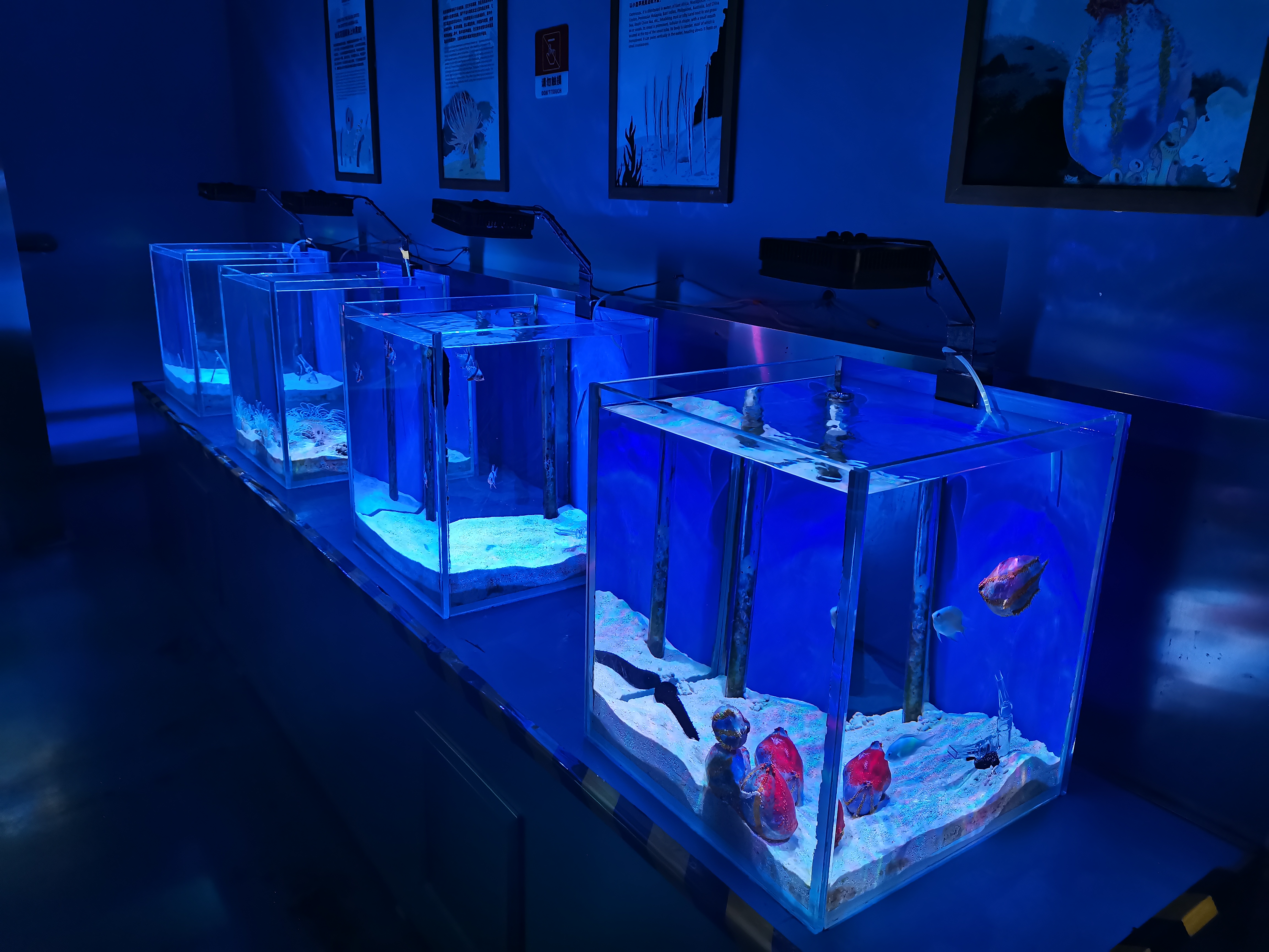 Professionele pasgemaakte akriel-akwariumvervaardigers en -bouers - Leyu 