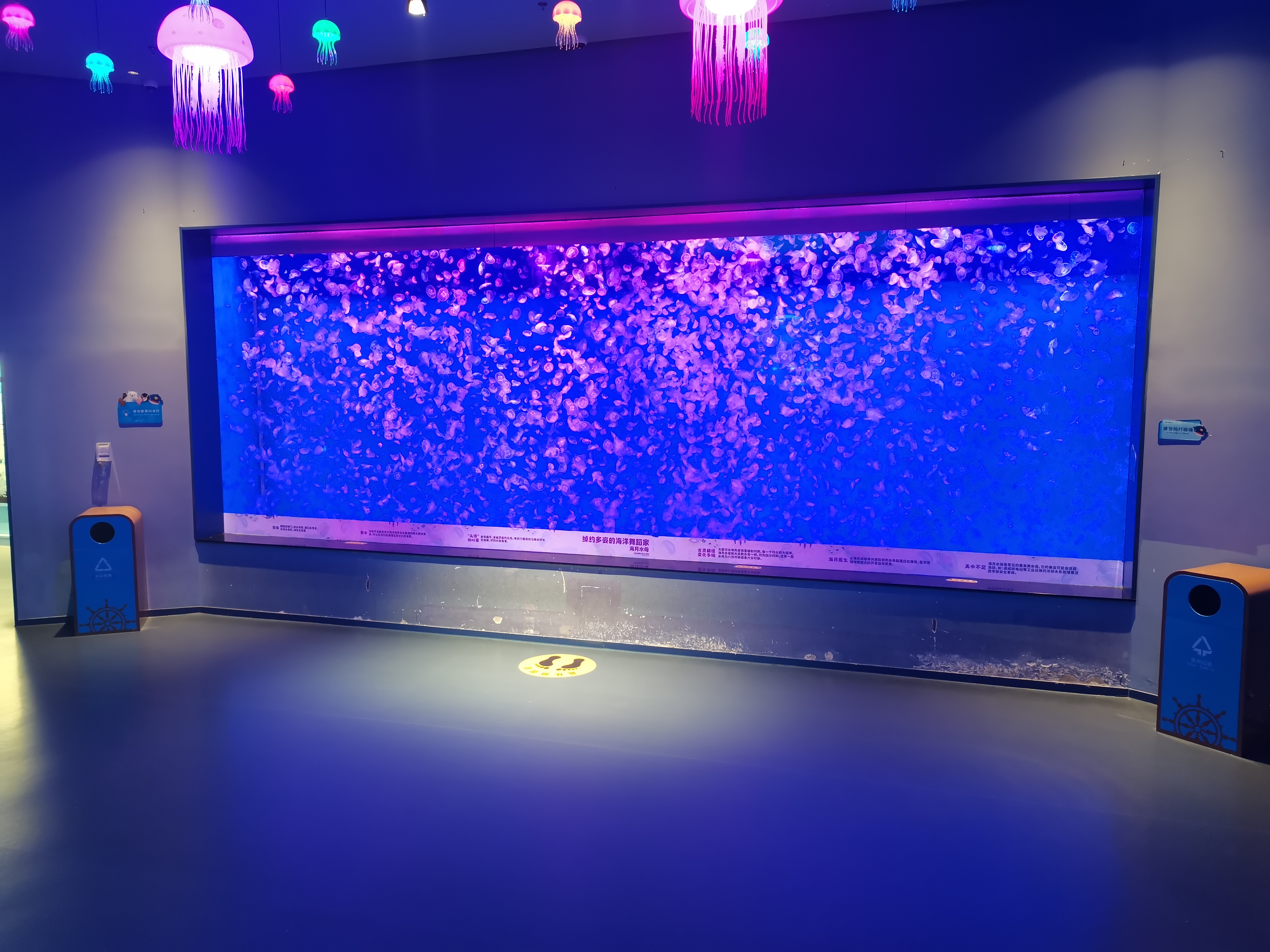 Professionele pasgemaakte akriel-akwariumvervaardigers en -bouers - Leyu 