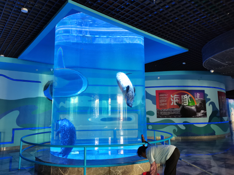 Groot helder silinder Akriel Aquarium Fish Tank Leyu Akriel Factory pas vir jou aan - LEYU