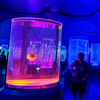 Leyu Acrylic Aquarium ፋብሪካ ከ70 በላይ የ Aquarium Architectures አጠናቋል - Leyu