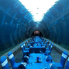 Oceanarium Underwater Shark tunnel Aquariums katika Ocean Park - Leyu Acrylic Sheet Products Factory