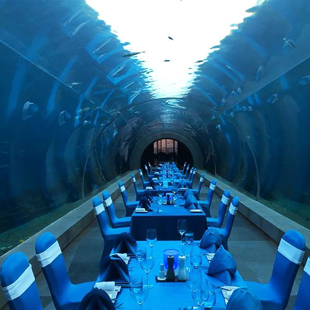 Oceanarium yaku ukupi tiburón tunel acuarios en Ocean Park - Leyu acrílico chapa productos fábrica