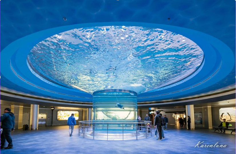 Tuicha Cilindro Acr&iacute;lico Acuario pira ryru O&ntilde;emoĩva peteĩ Centro Comercial-pe - Leyu acr&iacute;lico