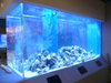  Chinese Acrylic Fish Tank Acrylic panel Supplier at Manufacturer - Leyu