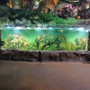 2024 ʻAʻole hiki i ka Aquarium ke hala i ka hoʻolālā puka aniani o ka aquarium curved - Leyu Acrylic Sheet Products Factory