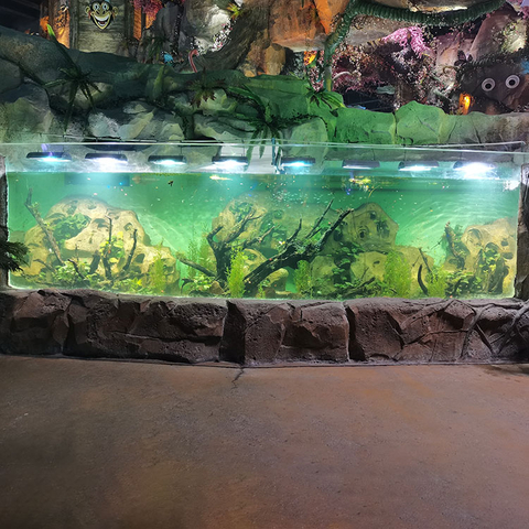 2024 Akvarium kan ikke gå glip af det buede akvariumvinduesdesign - Leyu Acrylic Sheet Products Factory