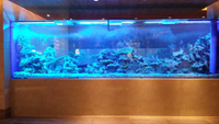 //jjrorwxhqnlmln5m.ldycdn.com/cloud/lpBpiKqollSRlkrmiipmjq/Acrylic-custom-fish-tank-manufacture.jpg