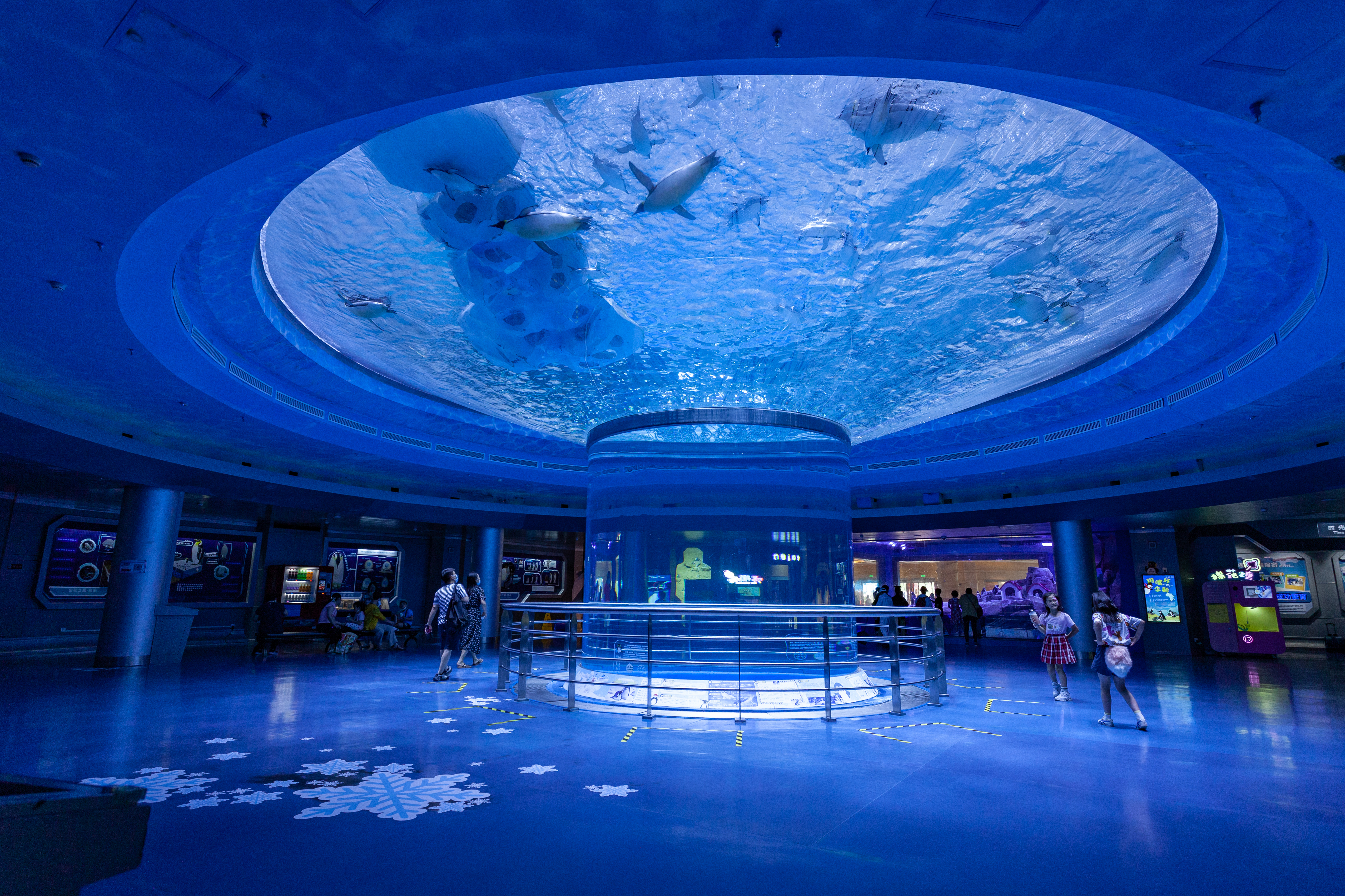 Bagaimana Cara Membuat Lanskap Perairan yang Lebih Populer?