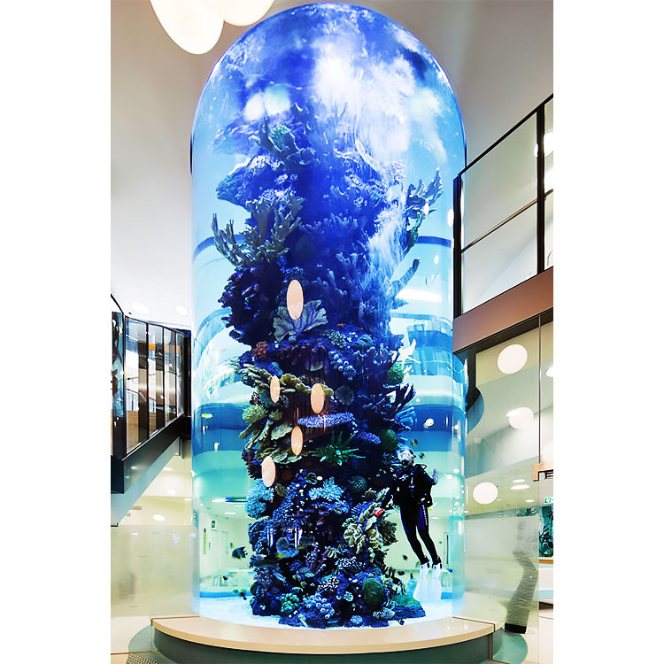 What is rimless acrylic aquarium Leyu acrylic aquarium factory professional custom rimless acrylic aquarium tank - Leyu