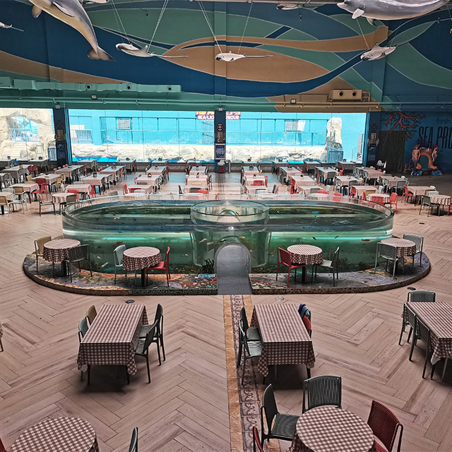 Различни акрилни аквариумски архитектури - LEYU