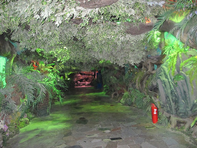 Akwarium abadanlaşdyryş sergisi - Le&yacute;u