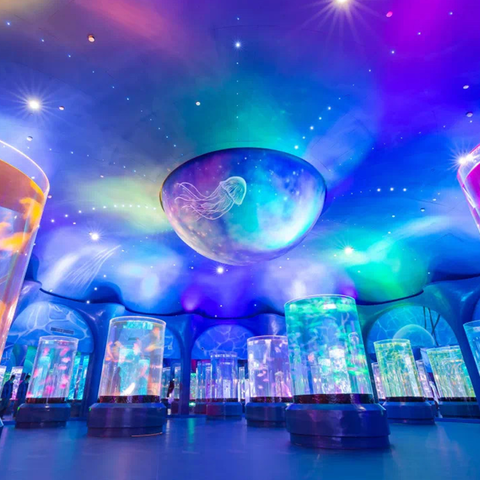 Art of Jellyfish Jellyfish Tanks & Live Petjelly lampă pentru acvariu de pește set de rezervor de meduze de lună - Leyu