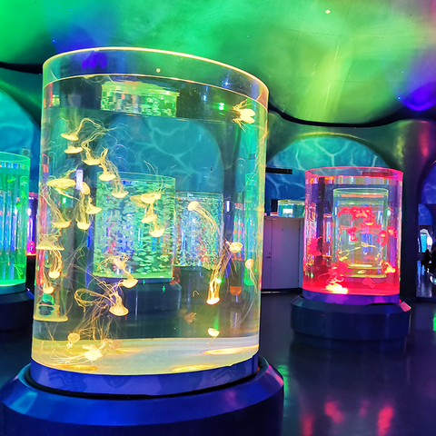 Obor-obor Binatang USA Obor-obor Binatang Di Rumah akuarium obor-obor hidup akuarium obor-obor hidup untuk dijual - Leyu 
