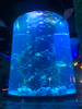 Grote op maat gemaakte fabrikanten van acryl aquariums populair in het Midden-Oosten - LEYU 