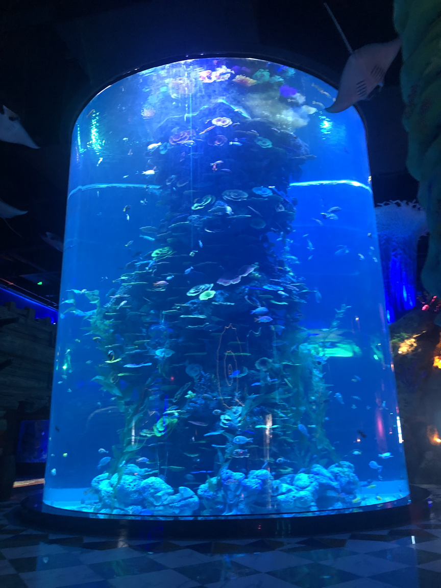 Grote op maat gemaakte fabrikanten van acryl aquariums populair in het Midden-Oosten - LEYU 