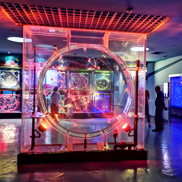 Oĩ Consideraciones ojejapo aja peteĩ Tanque de Pescado leyu he'i nd&eacute;ve- Leyu Acr&iacute;lico