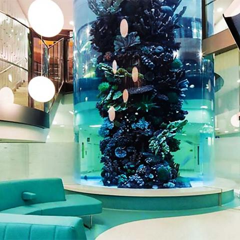 Aquarium cylindrique Aquarium cylindrique en ACRYLIQUE Fabricants d'aquariums en acrylique - LEYU