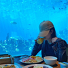 Aquarium Cafe shop ima akrilne prozore akrilne akvarijske tunele i akrilne rezervoare za ribice - Leyu