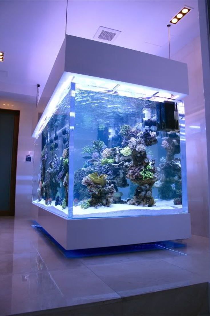 Acrylic aquarium tanks - Leyu