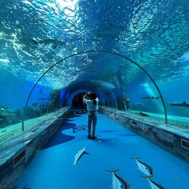 360 Aquarium Tunnel Polar Ocean World, professionelle Leyu-Ma&szlig;anfertigung