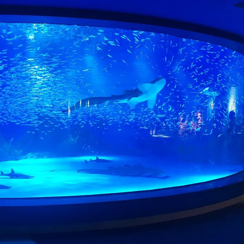 Luxuri&ouml;ses Design, individuelles Acryl-Sichtfenster f&uuml;r Aquarien – Leyu