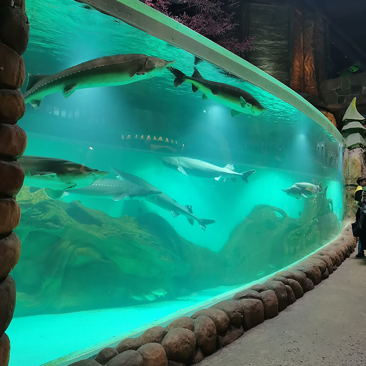 Aquarium Engineering Akrilni inženjering Akrilni dizajn24 sata Fabrika usluga Jeftini - LEYU