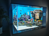 Paano Mag-customize ng Acrylic para sa Aquarium - Leyu 