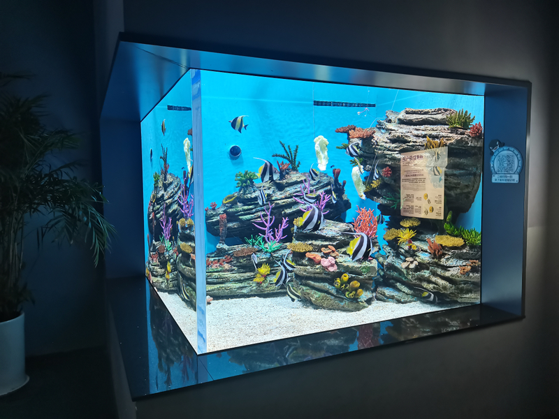Yadda Ake Keɓance Acrylic don Aquarium - Leyu 