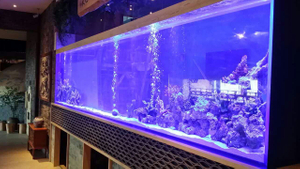 Furnizimi i fabrik&euml;s Akuariumi me rezervuar peshku akrilik t&euml; madh me porosi Leyu Acrylic Factory p&euml;rshtatet p&euml;r ju - LEYU