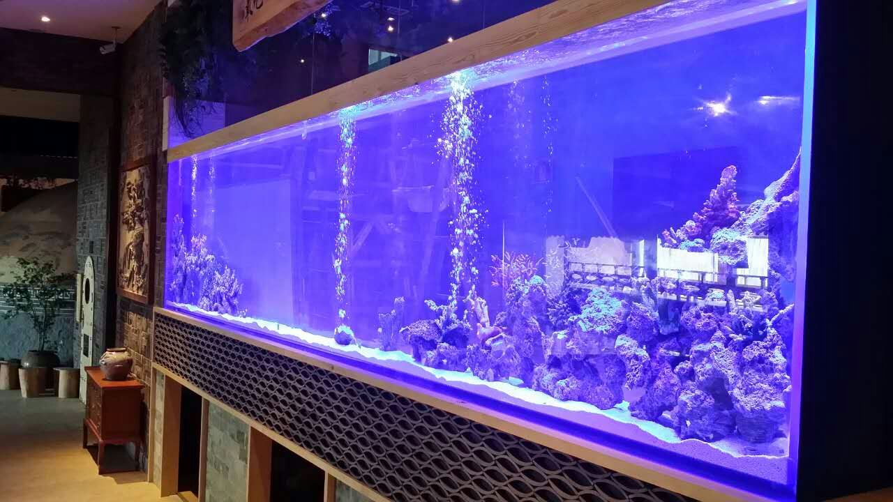 Ano ang pinakamagandang acrylic para bumuo ng seaclear acrylic aquarium - Leyu Acrylic Sheet Products Factory