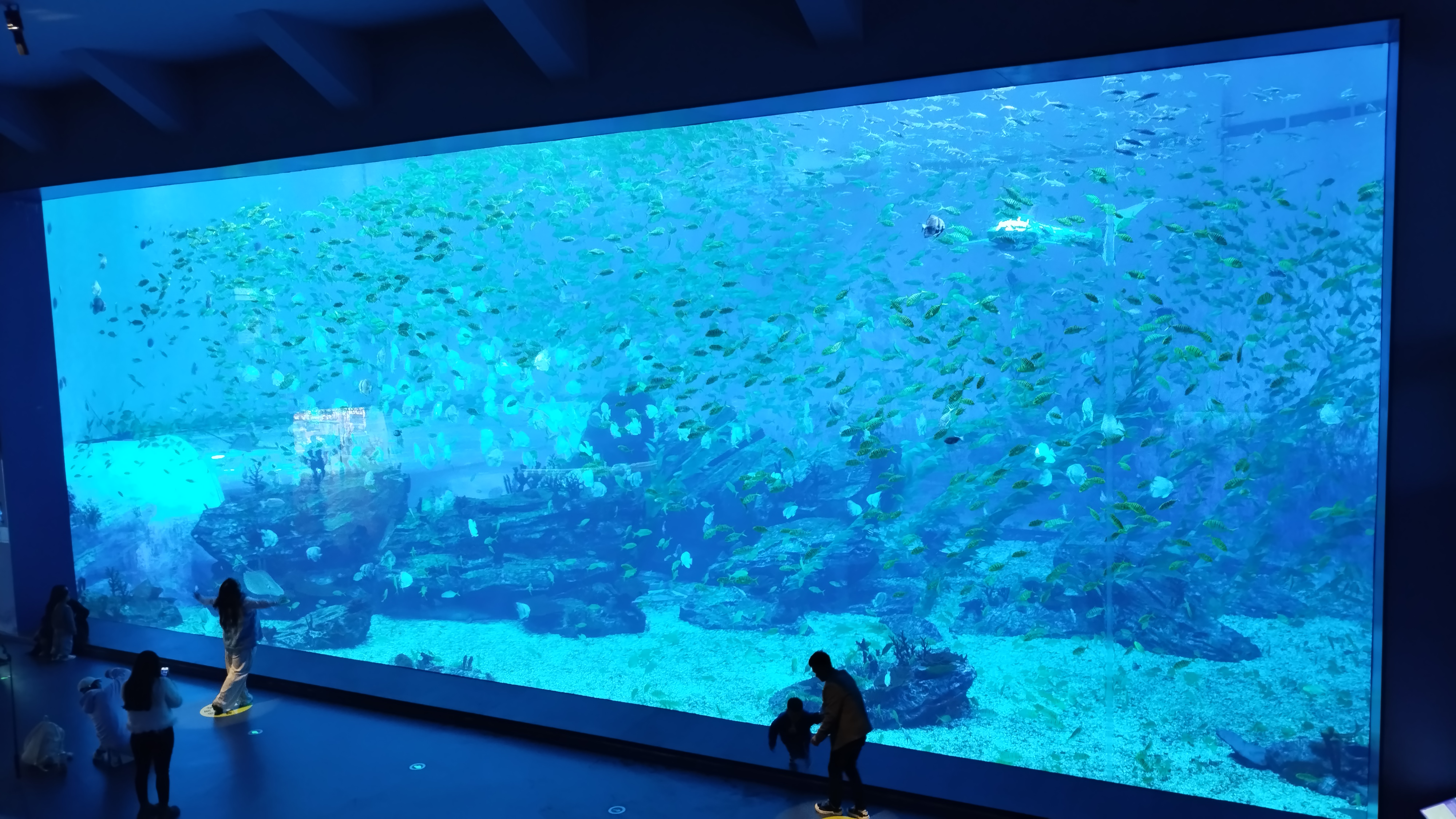 Analiza sustava primjene akrilnih akvarija