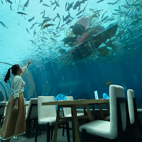 Hoeveel mariene parken ter wereld zijn openbare aquariums acryl -aquarium - leyu