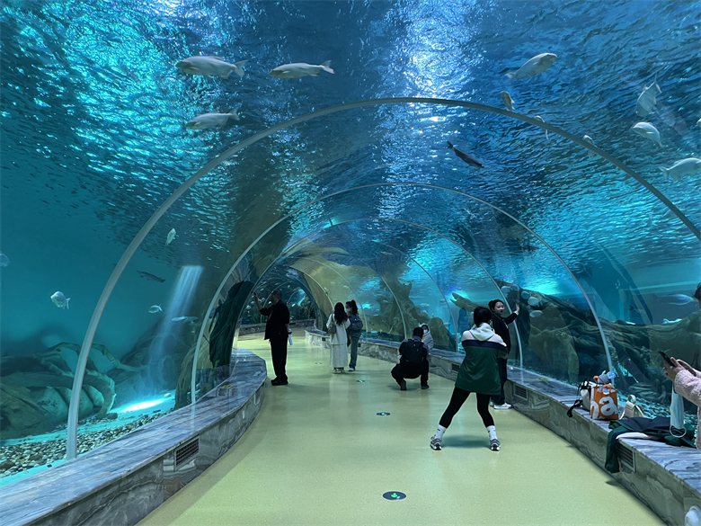 The tunnel aquarium near us is made of Leyu acrylic sheet- Leyu 