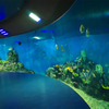 Ang pabrika ng China ay dalubhasa sa mga custom na acrylic window para sa oceanarium .- leyu 