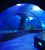 Leyu Acrylic voi my&ouml;s rakentaa akvaarioita, kuten Bangalore Tunnel Aquarium - LEYU 