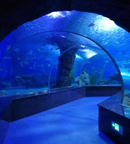 Akvarijní podvodní tunely postavené akrylem Leyu - LEYU