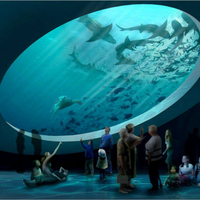 //jjrorwxhqnlmln5m.ldycdn.com/cloud/pjBpiKqollSRolnrqniqjp/jhk- 16815257236 53_1084_1084.jpg