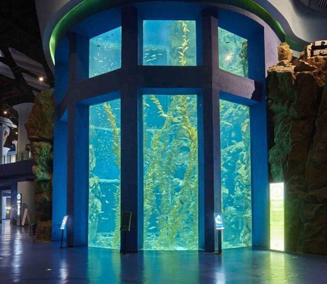 Custom Acrylic Aquariums: Fa'idodi, Mahimmanci, da Mahimman La'akari